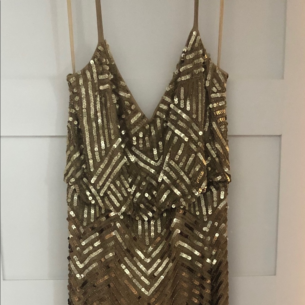 Adrianna Papell Beaded Blouson Gown